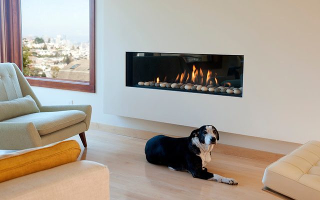 Fireplace and dog