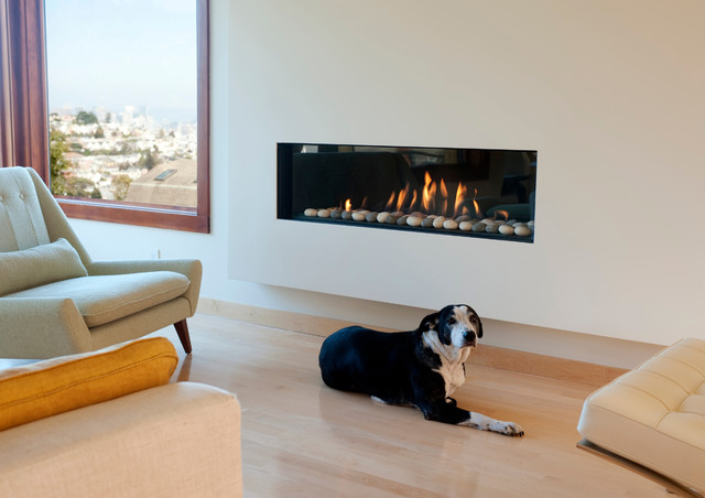 Fireplace and dog